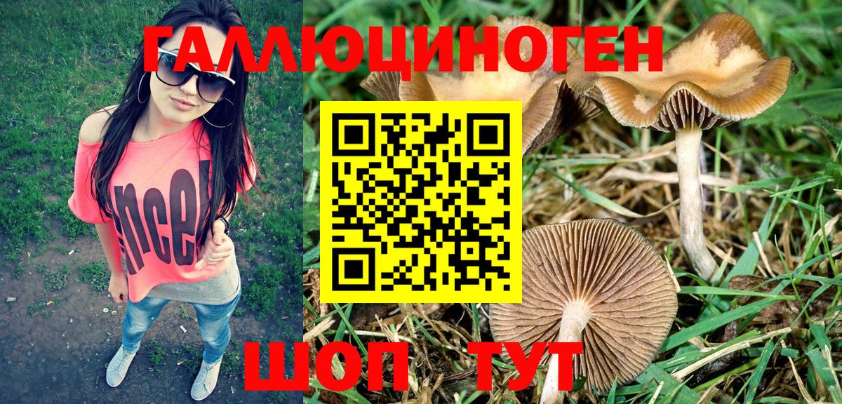 Галлюциногенные грибы Psilocybine cubensis  Псилоцибиновые грибы мухоморы  Вход с VPN  Касимов 